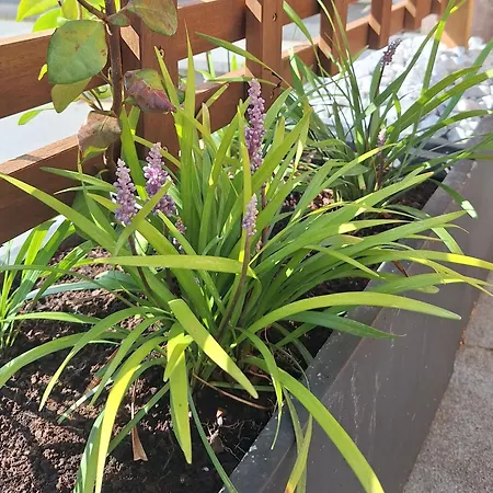 Nocleg ze śniadaniem La Laiterie Ecaussinnes Les Croisettes